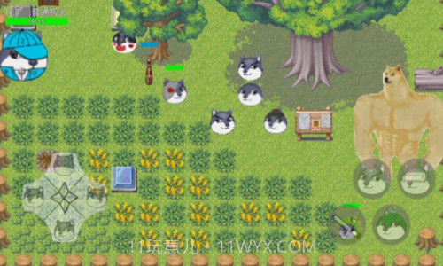 狗头卡包2截图3 狗头卡包2截图3