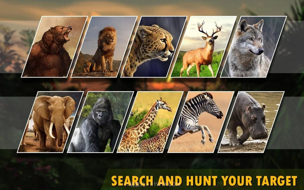 动物猎人2020单机版截图3