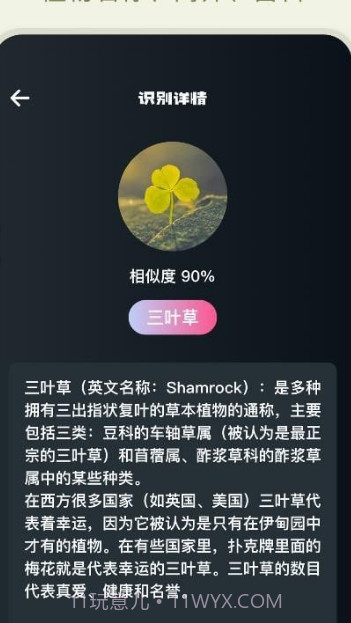 拍照识花大师截图3