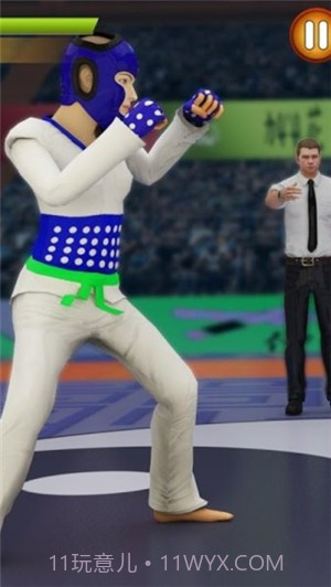 跆拳道格斗比赛截图2 跆拳道格斗比赛截图2