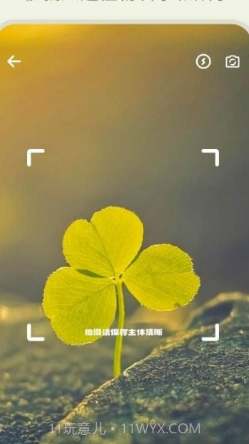 拍照识花大师截图1