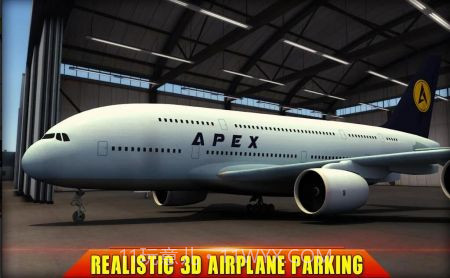 终极飞行模拟3D截图3