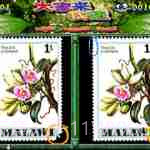 IGS经典游戏大合集截图1 IGS经典游戏大合集截图1