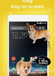 手机屏幕养狗截图3 手机屏幕养狗截图3