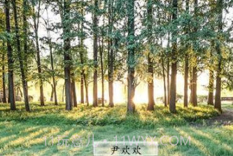 遍地都是妖精app截图3 遍地都是妖精app截图3