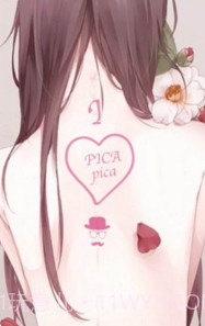 PicACGv4.1.19截图3