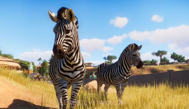 动物园之星免费截图4