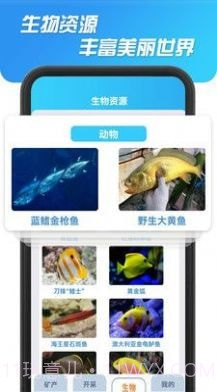 海洋寻宝记截图4 海洋寻宝记截图4