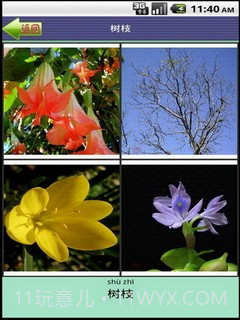 看图识字植物篇截图5