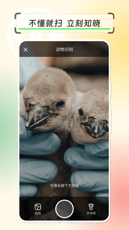 拍物轻松识截图4