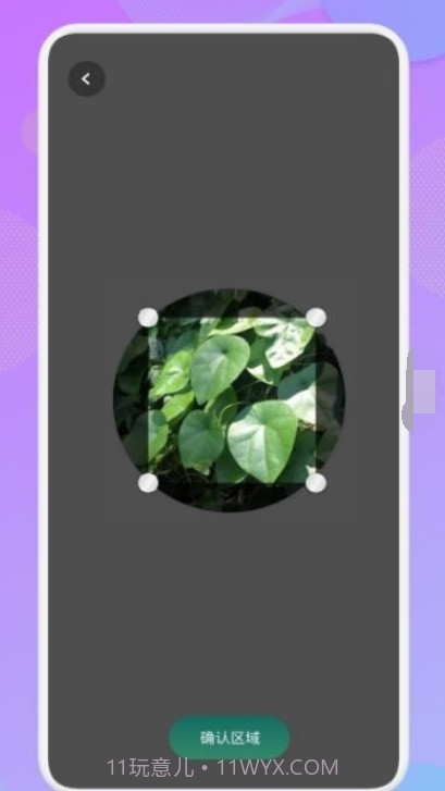 智能识图识物截图1 智能识图识物截图1