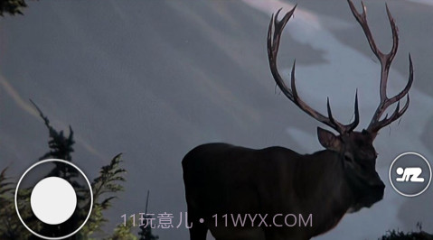 恐怖森林猎人截图1 恐怖森林猎人截图1