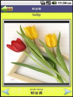 看图识字植物篇截图4