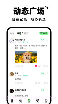 森林派对截图5 森林派对截图5
