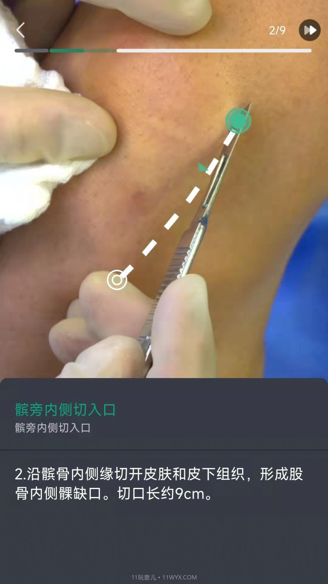 万康人体解剖截图1