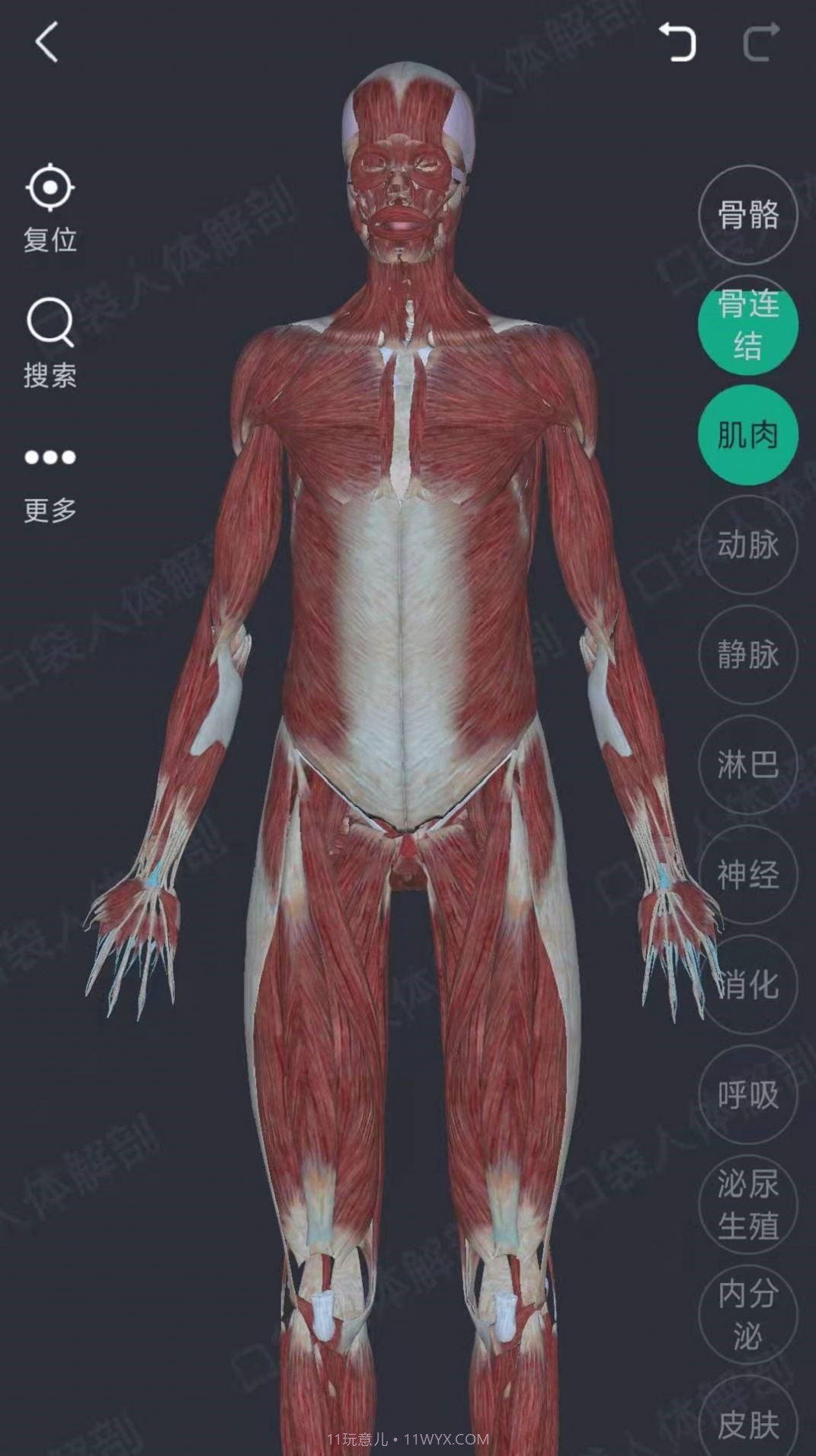 万康人体解剖截图2