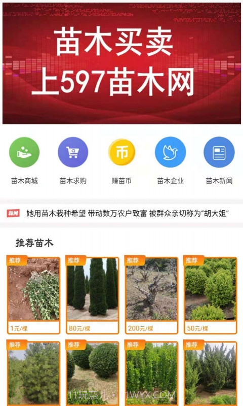 597苗木网截图3