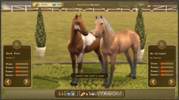 障碍赛马冠军3截图2 障碍赛马冠军3截图2