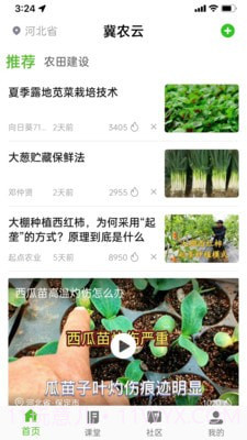 冀农云学堂截图2 冀农云学堂截图2