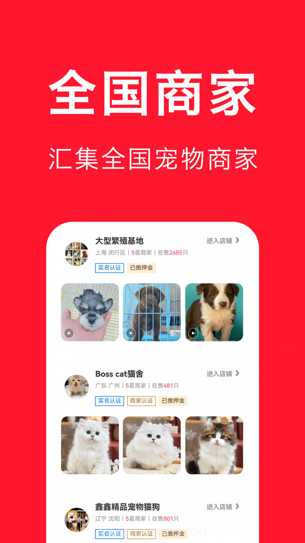 宠物宝截图2 宠物宝截图2