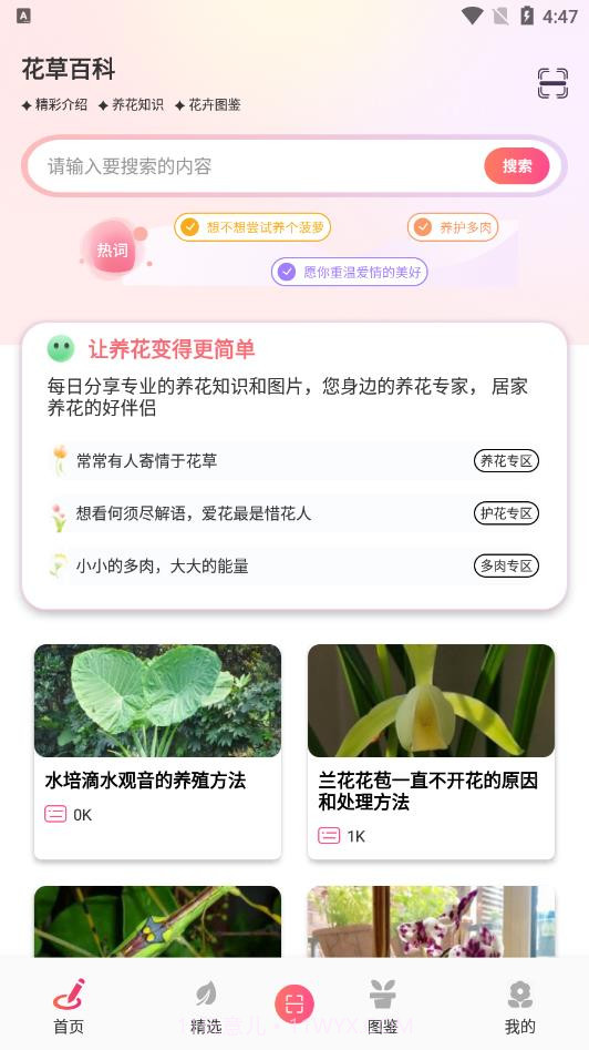 行色识花君截图3 行色识花君截图3