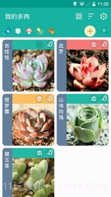 多肉成长记截图1