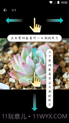 多肉成长记截图4