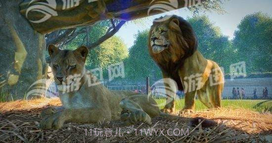 动物园之星PlanetZoo手机版截图2 动物园之星PlanetZoo手机版截图2