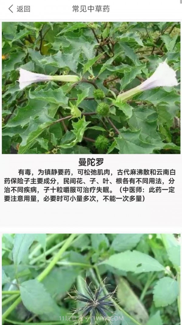 养生健康减肥截图3