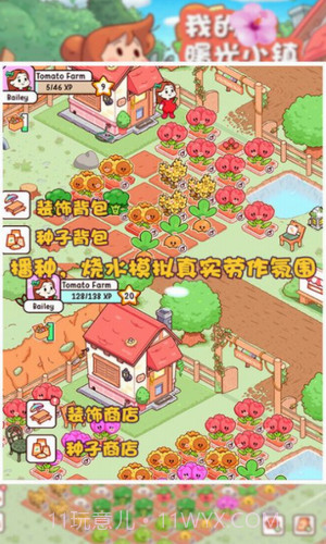 我的曙光小镇截图3