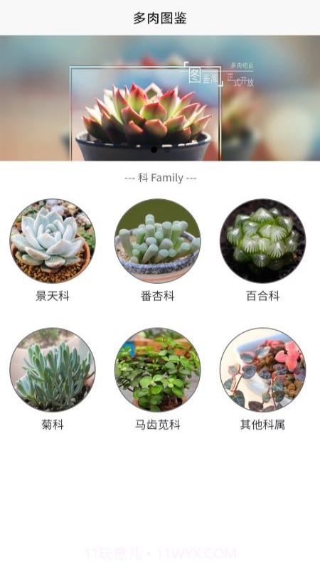 潮句多肉植物汇截图2 潮句多肉植物汇截图2