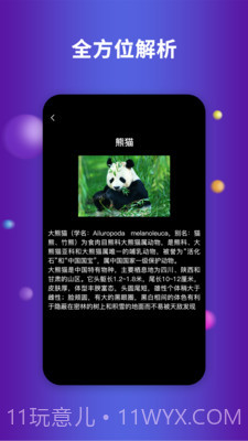 earth地球截图3 earth地球截图3