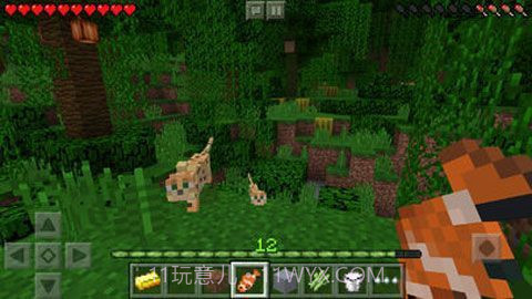 我的世界 1.11.0.1版截图1