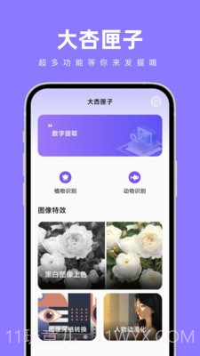 大杏匣子截图3 大杏匣子截图3