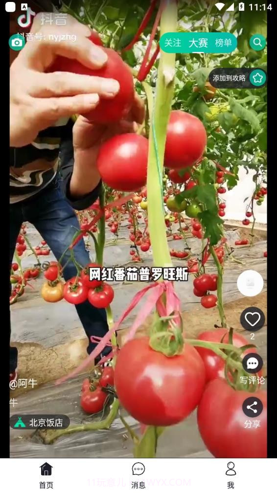 彼方短视频截图3 彼方短视频截图3