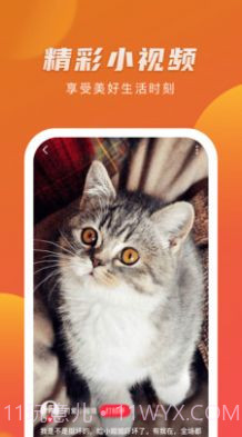 爱情岛视频截图1 爱情岛视频截图1