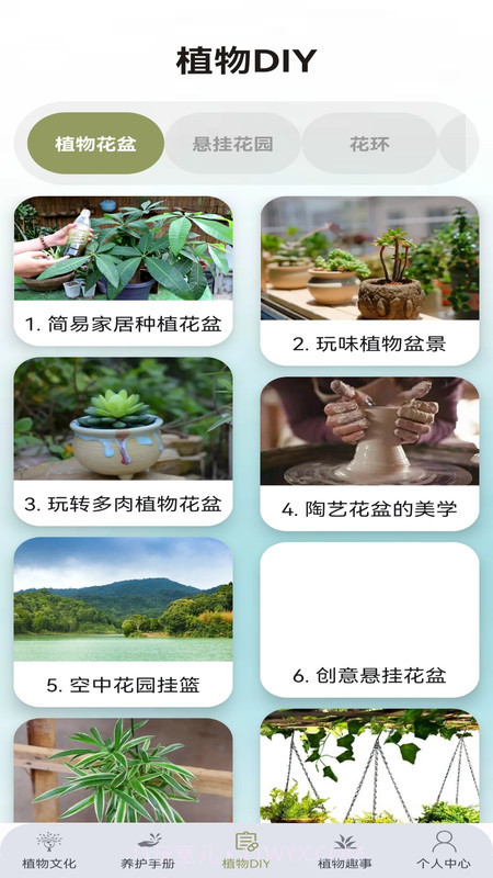 植物小伙伴截图1
