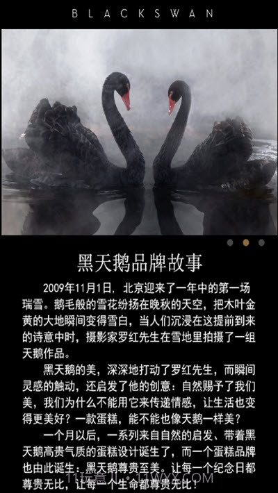 黑天鹅蛋糕截图2