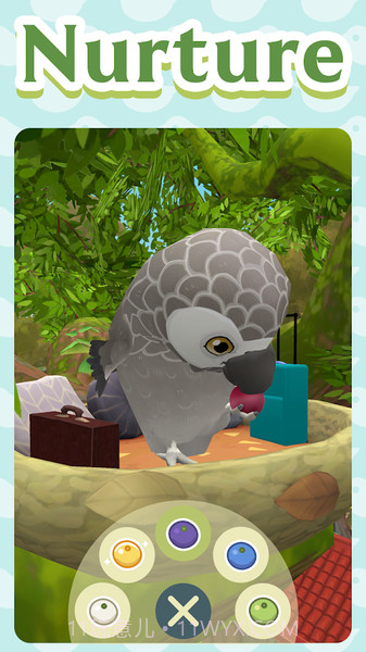 小鸟旅社截图3 小鸟旅社截图3