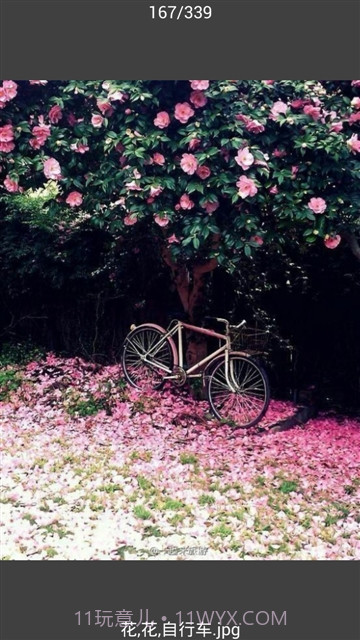 All图片批量下载截图3 All图片批量下载截图3