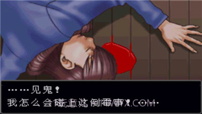 逆转裁判手机版截图3