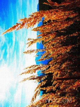 8位风格照片工坊8Bit Photo截图7