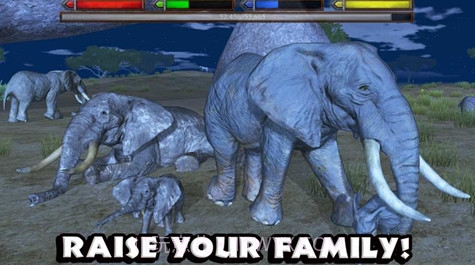 热带草原模拟器截图1 热带草原模拟器截图1