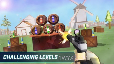 我射瓶子最牛截图3