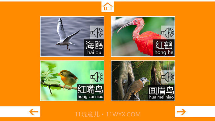 动物叫声最新版截图1