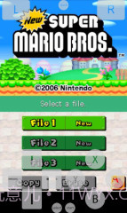 NDS模拟器:Dsoid截图1