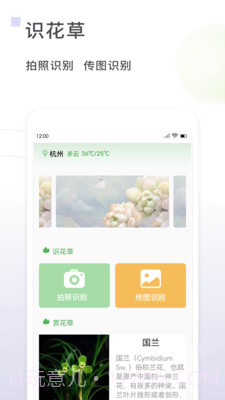 一花草截图2 一花草截图2