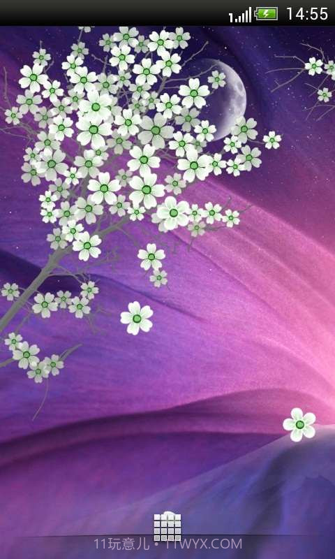 高清樱花动态壁纸截图1