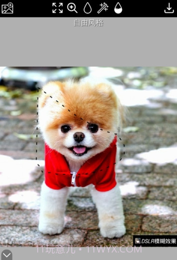 DSLR模糊效果截图2