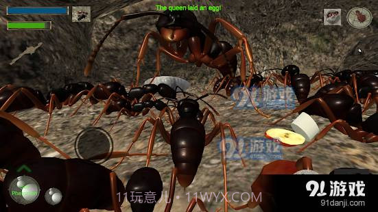 3d蚂蚁模拟器中文版截图4 3d蚂蚁模拟器中文版截图4